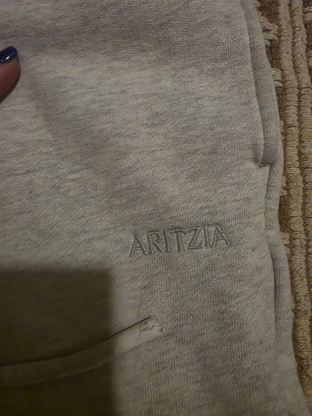 Aritzia Light Gray Embroidered Sweatshirt